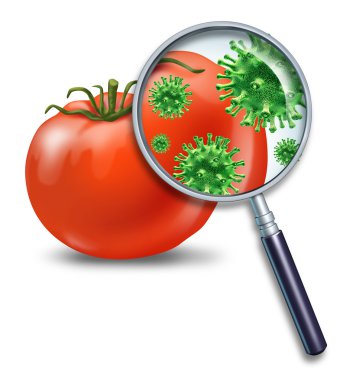 Food safety clipart