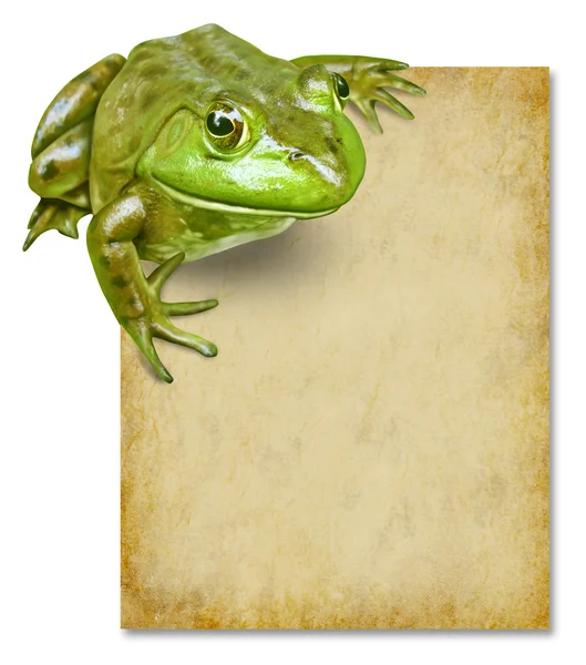 Frosch mit leerem Grunge alten Papierschild — Stockfoto
