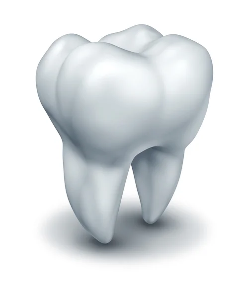 Ząb ludzki — Zdjęcie stockowe