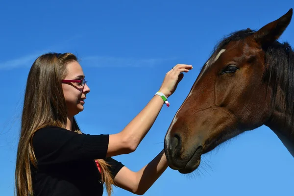 Girl caressing horse — Stock Photo, Image