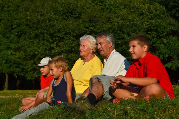 Avós e netos juntos Imagem De Stock
