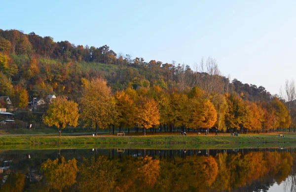 釣り湖の秋 ストックフォト