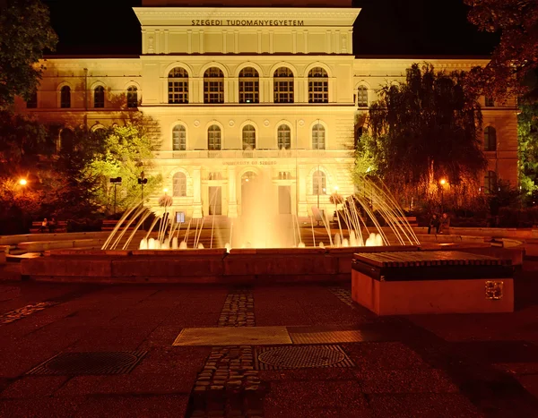 Università di Szeged di notte Immagini Stock Royalty Free