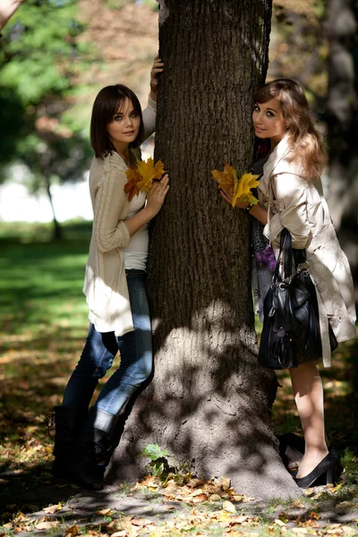 Dvě mladé dívky hrají v podzimním parku — Stock fotografie