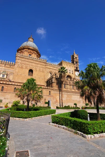 Kathedraal van Palermo, Sicilië — Stockfoto