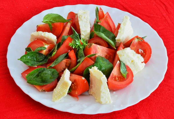 Kaas salade met tomaat en groene basilicum — Stockfoto