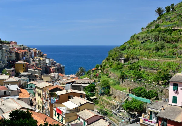 Wieś Manarola, Cinque Terre, Włochy — Zdjęcie stockowe