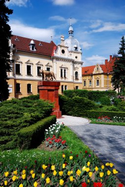 Brasov Cityhall, Romania clipart