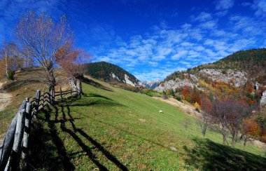 Autumn rural landscape in Romania mountains clipart