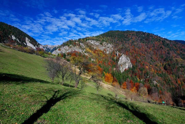 stock image Autumn rural landscape in Romania mountains