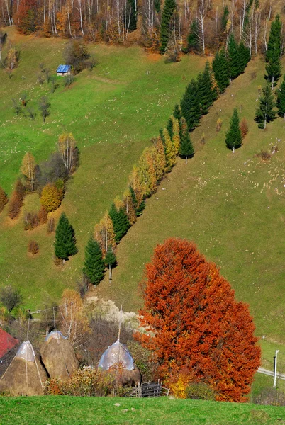 stock image Autumn landscape