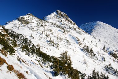 Carpathian mountains in winter season, Romania clipart