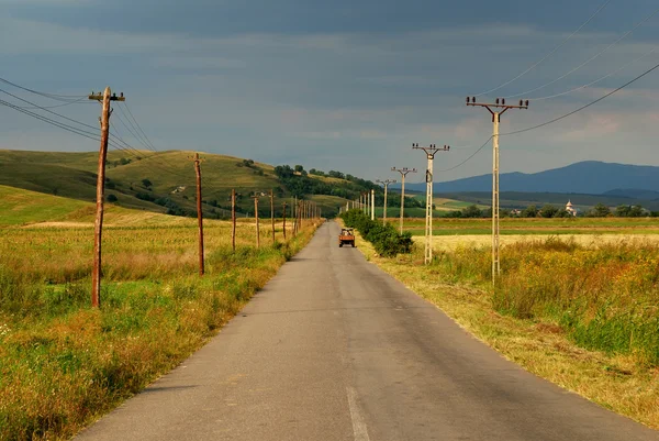 stock image Country road in sunset light