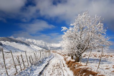 yol peyzaj kırsal kış