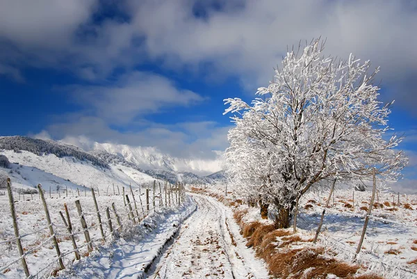 stock image Winter road landscape in countryside