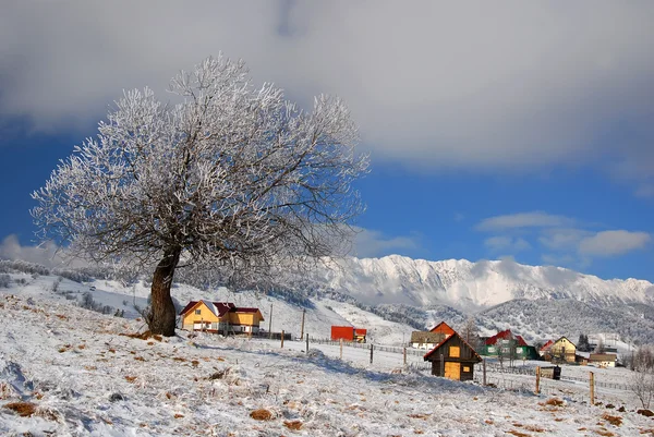 Winter mijlpaal in Roemenië — Stockfoto