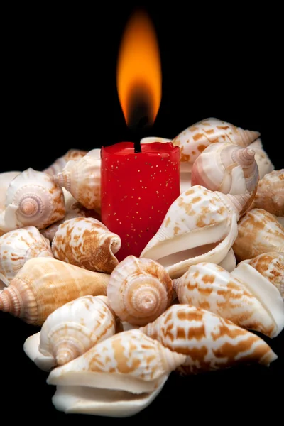 Romantische Kerze gegen die Schalen. — Stockfoto