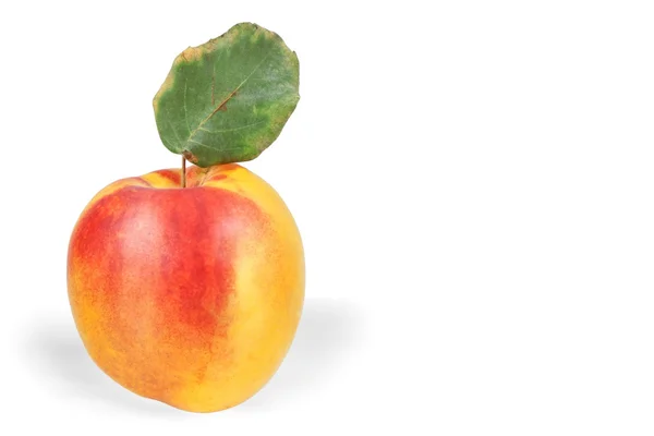 Peach on a white background — Stock Photo, Image