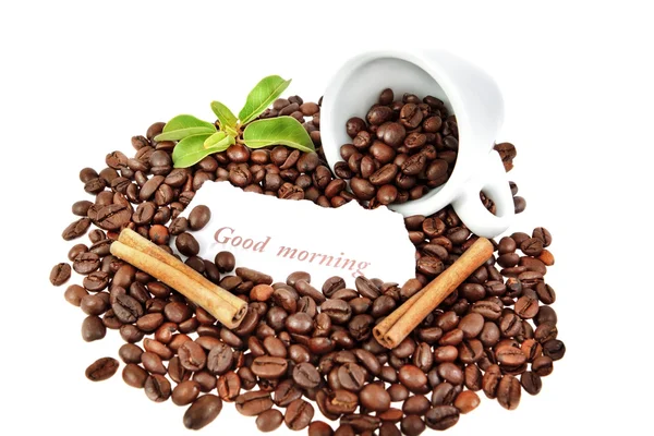 Composition of a cup of coffee, cinnamon, and plants. — Stock Photo, Image