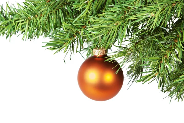 The golden ball on the tree. — Stock Photo, Image