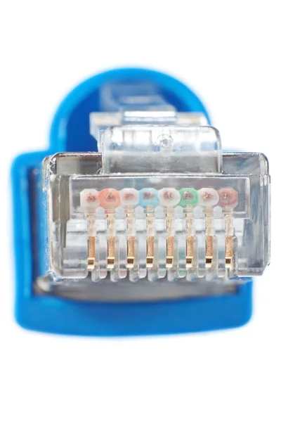 LAN connector Ethernet networks in macro — Stock Photo, Image