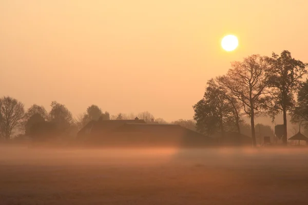 stock image Sunrise on a foggy landscape