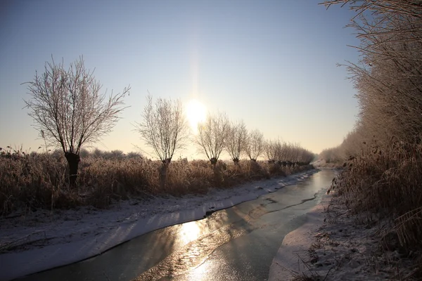 Frozen creek in wintertime with sunlight — Stock Photo, Image