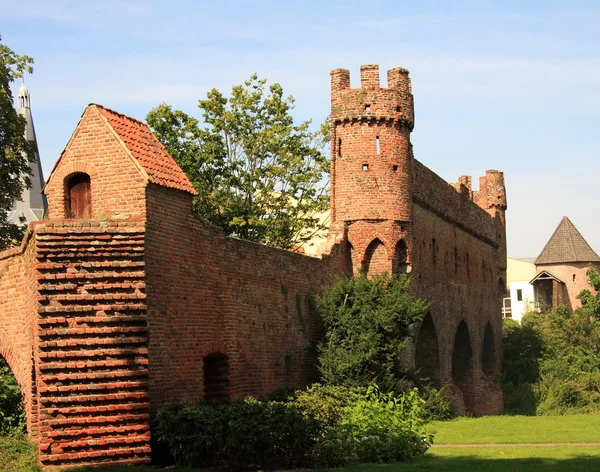 Ruinerna av ett slott i zutphen, Nederländerna Stockbild