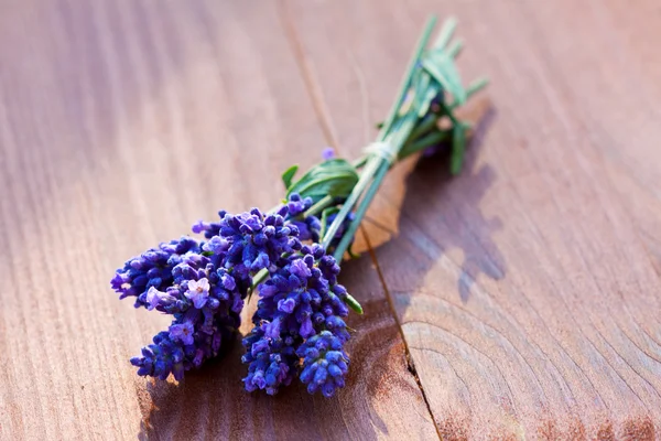 stock image Lavender