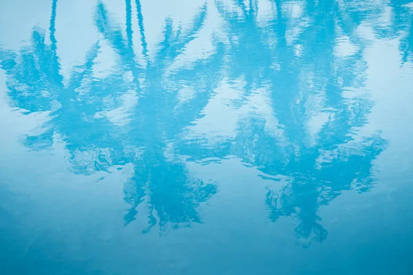 Zwembad met palmboom Stockfoto