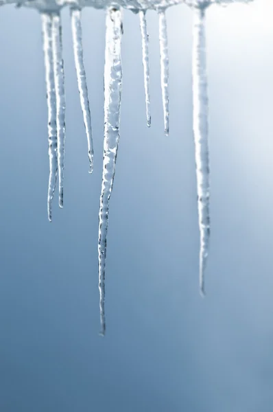 stock image Bunch of real icicle in close focus