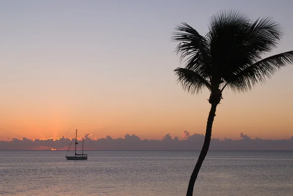 Yelkenli tekne ve gün batımında palmiye ağacı — Stok fotoğraf