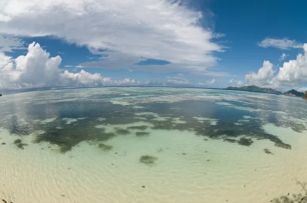 stock image Reef on seychelles