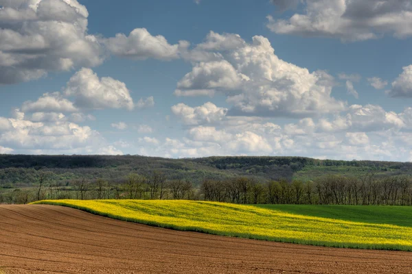Mezőgazdasági field - talaj — Stock Fotó