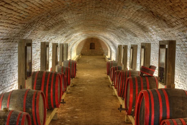 Stock image Barrels in a Cellar