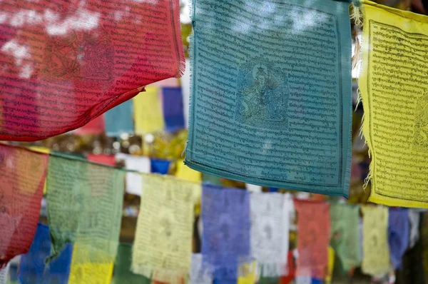 stock image Prayer Flags