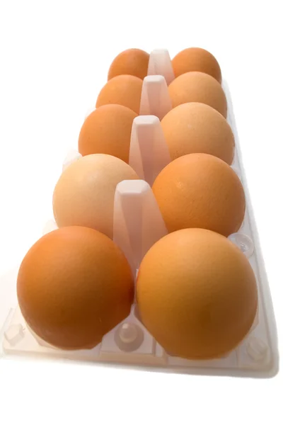 Ten eggs — Stock Photo, Image