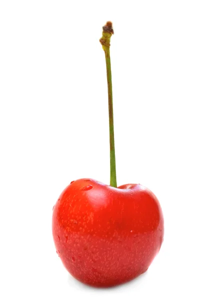 Cherrie słodki — Zdjęcie stockowe