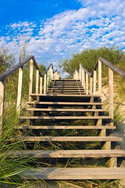 stock image Ladder to the sky