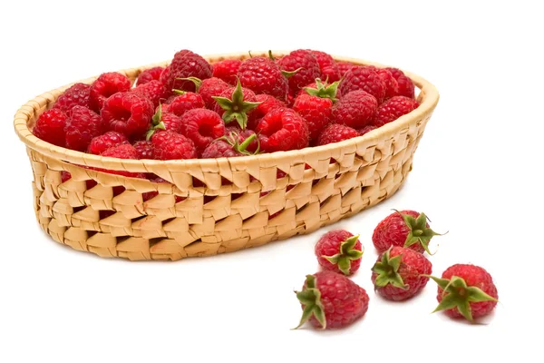 Fresh raspberries (rubus idaeus) in the basket — Stock Photo, Image