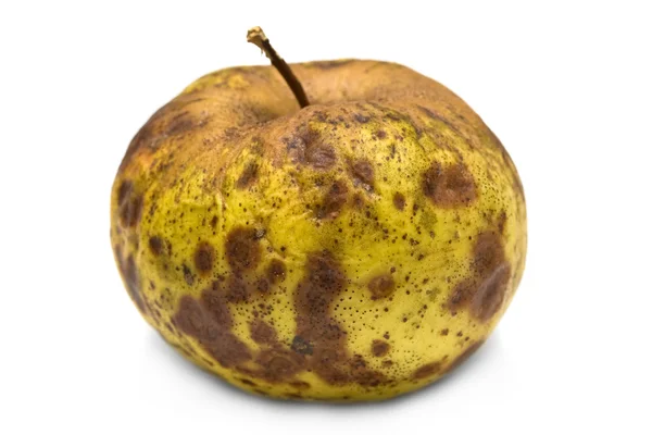 Rotten apple — Stock Photo, Image