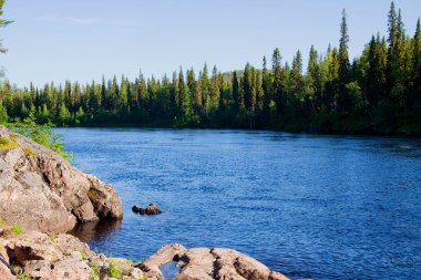 Summer landscape with river clipart