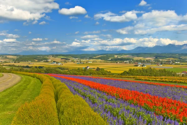 stock image Garden in japen