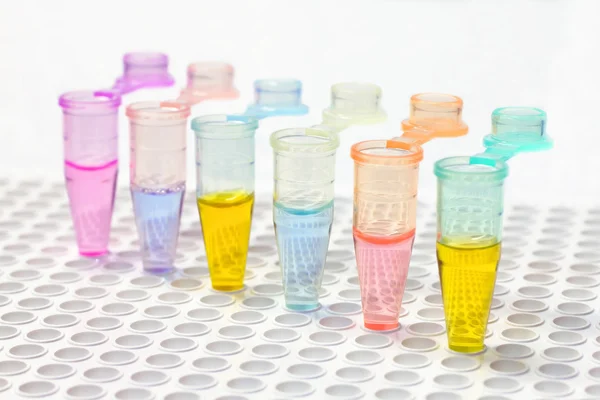 PCR mikroprobówki — Zdjęcie stockowe