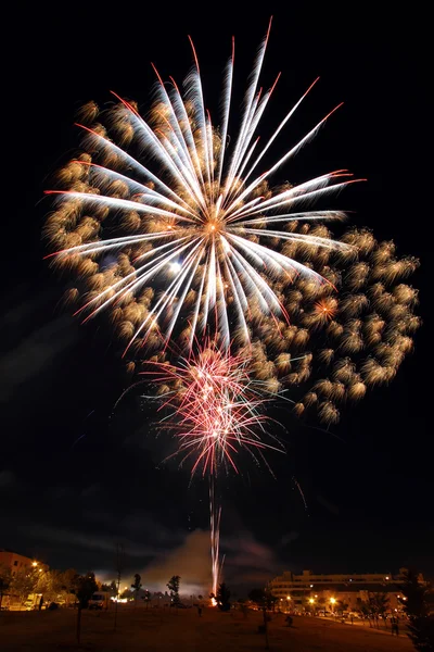 Albero fuochi d'artificio — Foto Stock
