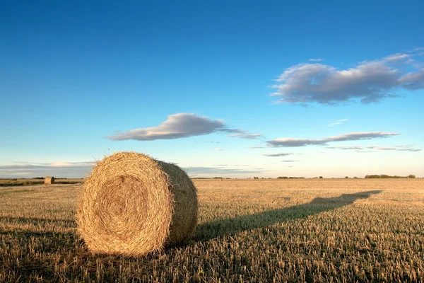 stock image A bale of hay with a long shadow