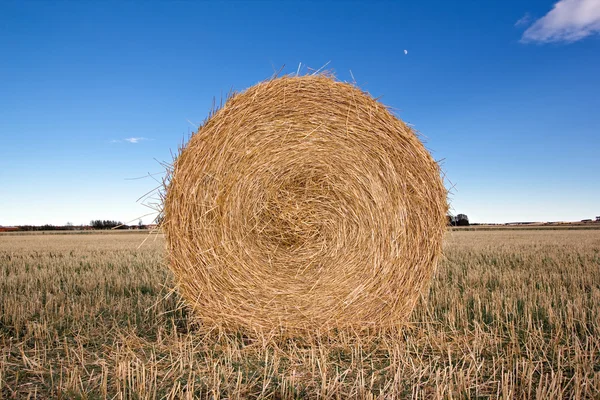 stock image Bale in a harvested field