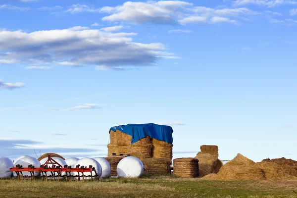 stock image Storage of fodder for cattle