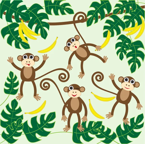 Macacos —  Vetores de Stock