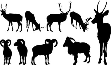 Deer and chamoise silhouettes clipart